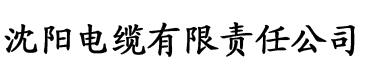 橙子影院永久免费进入电缆厂logo